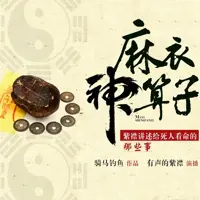 《麻衣神算子》有声小说-作者骑马钓鱼-主播紫襟-悦听吧免费听书平台
