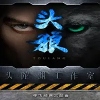《头狼》有声小说-作者寻飞-主播头陀渊工作室-悦听吧免费听书平台