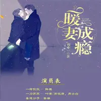 暖妻成瘾
